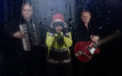 Liebe, Liebe, Liebe! Eine Robbe zum Verlieben // ARD-Kult mit Hafennacht